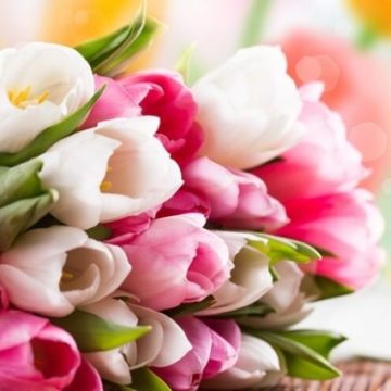 После праздника: раскрываем пять способов применения цветов после 8 марта