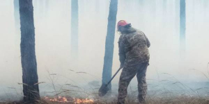 Неизвестные подожгли Голосеевский заповедник в Киеве — дикие животные гибнут от ожогов